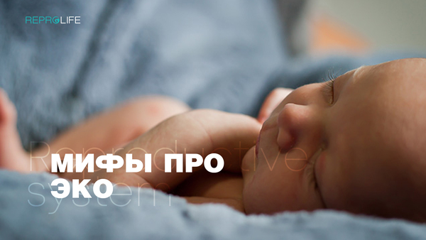 Міфи про ЕКЗ
