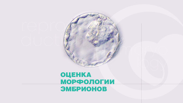 Оцінка морфології ембріонів