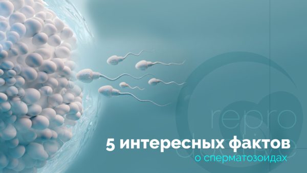 П'ять цікавих фактів про сперматозоїди
