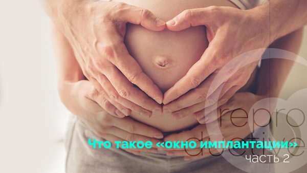 Вікно імплантації (частина 2)