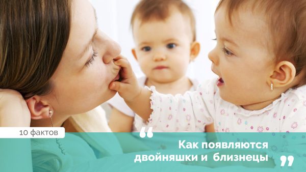 Как появляются двойняшки или близнецы