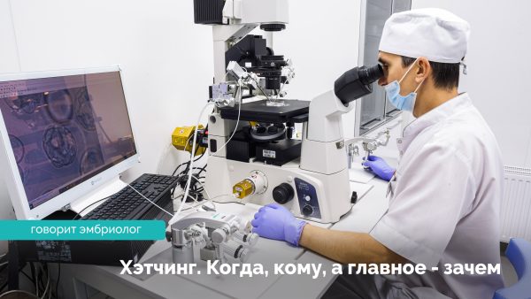 Хэтчинг. Василий Васильевич Лялюк