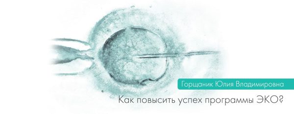 Как повысить успех программы ЭКО?