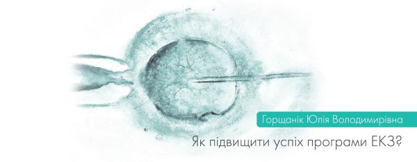 Як підвищити успіх програми ЕКЗ?