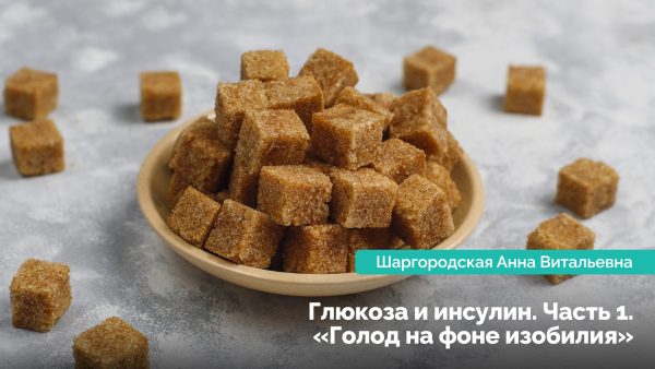 Глюкоза и инсулин. Часть 1: «Голод на фоне изобилия». Шаргородская Анна