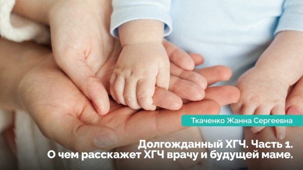 Определение и динамика ХГЧ. Ткаченко Жанна Сергеевна