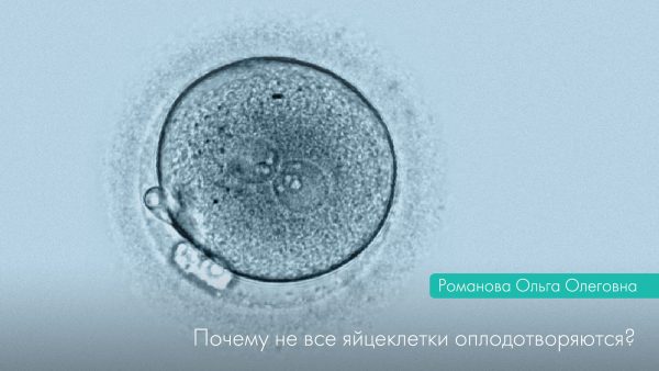 Чому не всі яйцеклітини запліднюються?