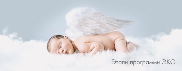 Етапи програми ЕКЗ
