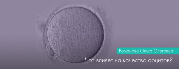Що впливає на якість ооцитів?
