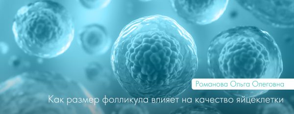 Вплив розміру фолікула на якість яйцеклітини
