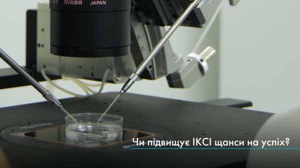 Чи підвищує ІКСІ шанси на успіх?