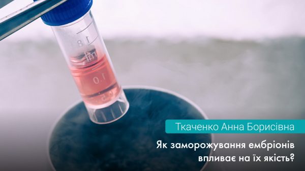 Як заморожування ембріонів впливає на їхню якість?