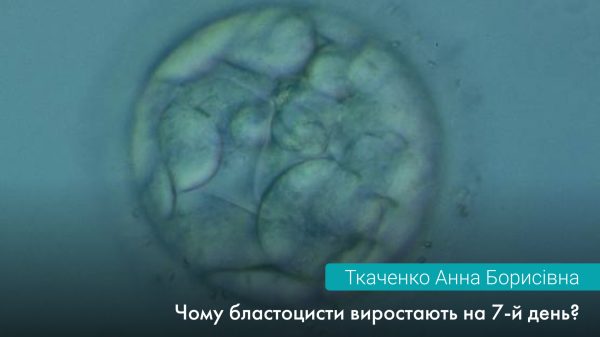 Чому бластоцисти виростають на 7-й день?