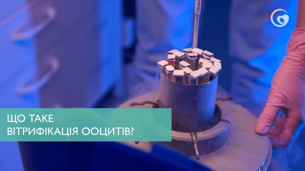 Що таке вітрифікація ооцитів?