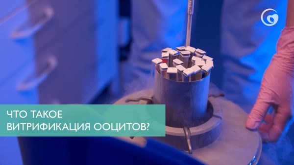 Что такое витрификация ооцитов?