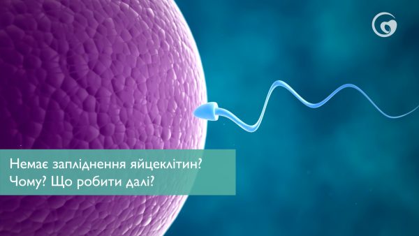 Немає запліднення яйцеклітин? Чому? Що робити далі?