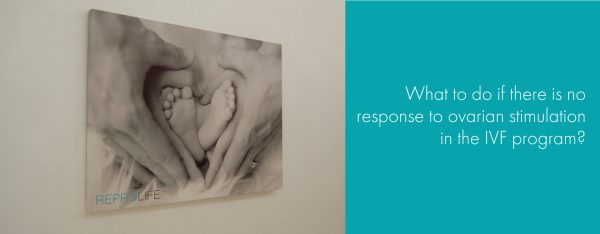 What to do if there is no response to ovarian stimulation in the IVF program?  