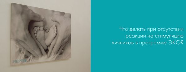 Что делать, когда нет реакции на стимуляцию яичников в программе ЭКО?