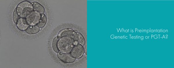 What is Preimplantation Embryo Genetic Testing or PGT-A?