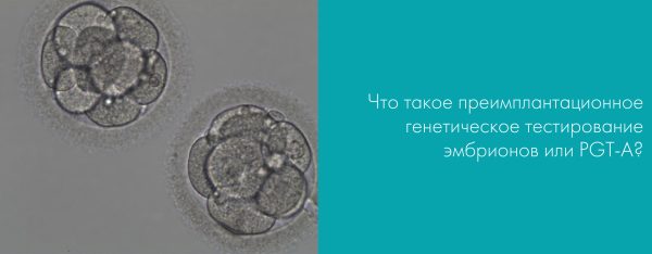 Преимплантационное генетическое тестирование эмбрионов или PGT-A