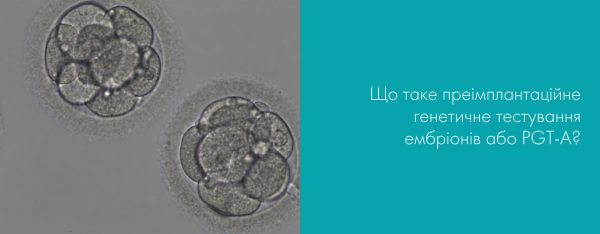 Що таке преімплантаційне генетичне тестування ембріонів або PGT-A?