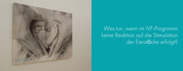 Was können wir tun, wenn im IVF-Programm keine Reaktion auf die Stimulation der Eierstöcke erfolgt?