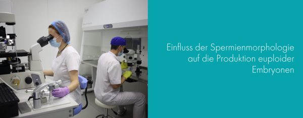 Der Einfluss der Spermienmorphologie auf die Gewinnung euploider Embryonen.