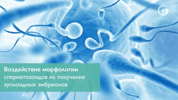 Воздействие морфологии сперматозоидов на получение эуплоидных эмбрионов