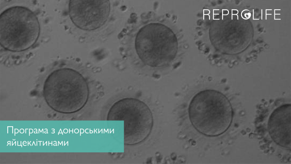 Програма з донорськими яйцеклітинами в медичному центрі Reprolife