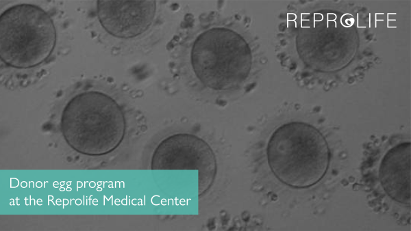 Donor egg program at the Reprolife Medical Center  