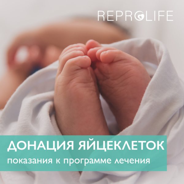 Донация яйцеклеток: показания к программе лечения