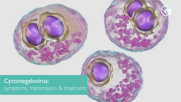 Cytomegalovirus: symptoms, transmission and treatment