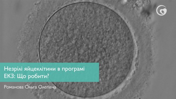 Що робити, коли отримані незрілі яйцеклітини в програмі ЕКЗ