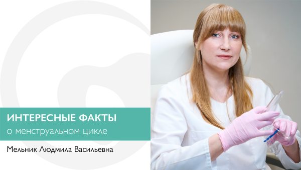 Интересные факты о менструальном цикле