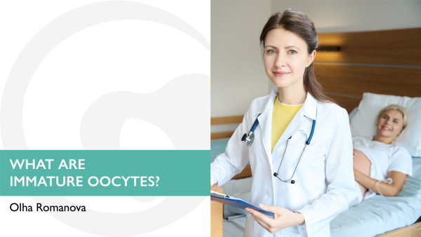 What are immature oocytes?