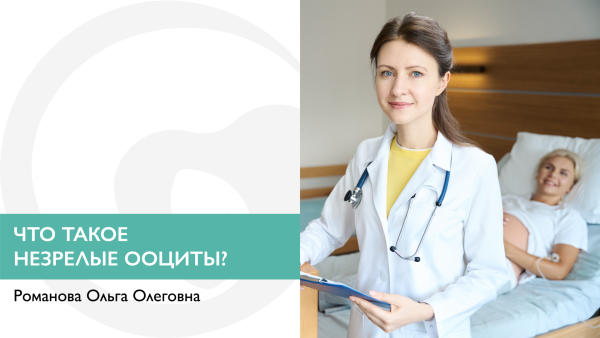 Что такое незрелые ооциты?