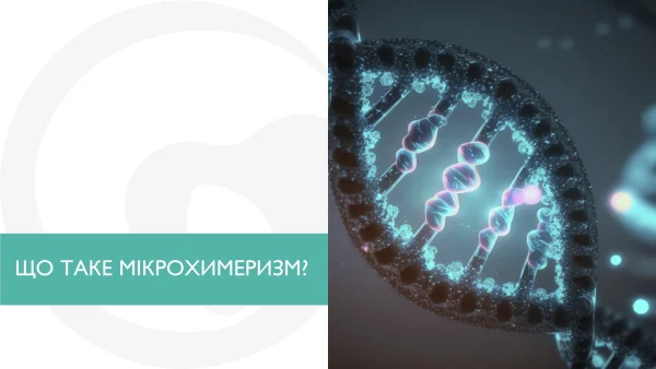 Мікрохимеризм