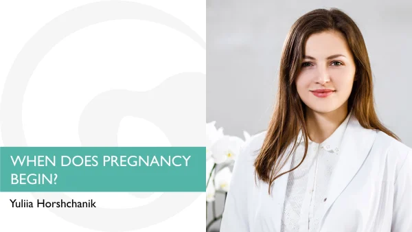 When does pregnancy begin?