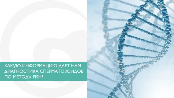 Fish сперматозоидов