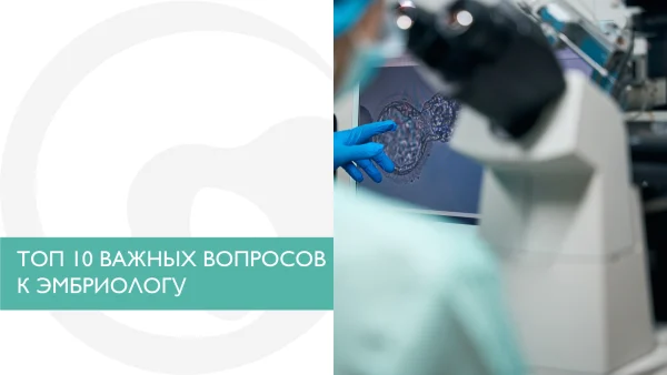 ТОП 10 ВАЖНЫХ ВОПРОСОВ К ЭМБРИОЛОГУ