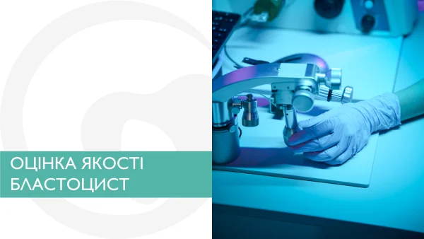 Оцінка якості бластоцист