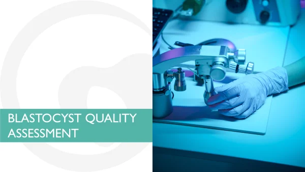 BLASTOCYST QUALITY ASSESSMENT