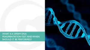 dna fragmentation