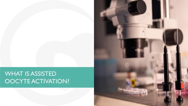 oocyte activation