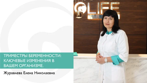 ТРИМЕСТРЫ БЕРЕМЕННОСТИ: КЛЮЧЕВЫЕ ИЗМЕНЕНИЯ В ВАШЕМ ОРГАНИЗМЕ.
