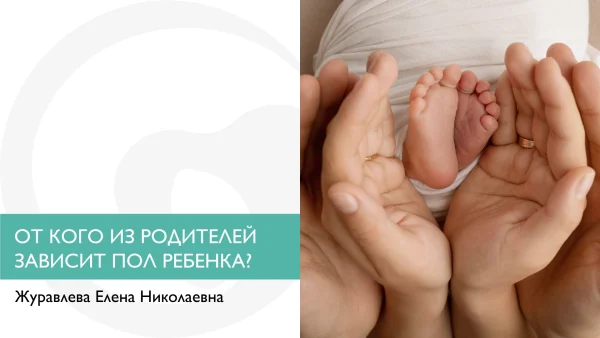 ОТ КОГО ИЗ РОДИТЕЛЕЙ ЗАВИСИТ ПОЛ РЕБЕНКА?