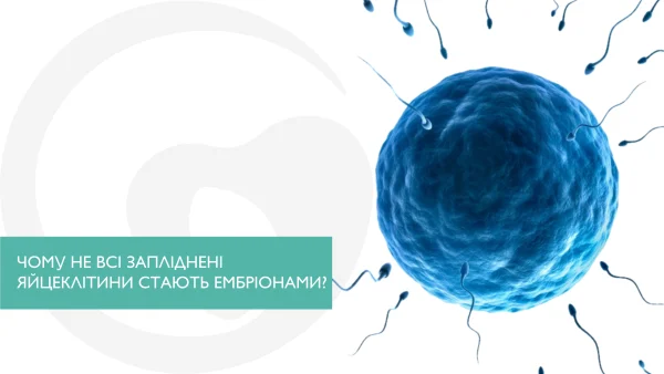 ЧОМУ НЕ ВСІ ЗАПЛІДНЕНІ ЯЙЦЕКЛІТИНИ СТАЮТЬ ЕМБРІОНАМИ?