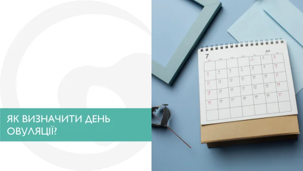 Як визначити день овуляції