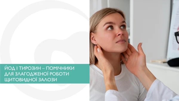 ЙОД І ТИРОЗИН – ПОМІЧНИКИ ДЛЯ ЗЛАГОДЖЕНОЇ РОБОТИ ЩИТОВИДНОЇ ЗАЛОЗИ