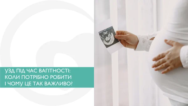 УЗД під час вагітності: коли потрібно робити і чому це так важливо
